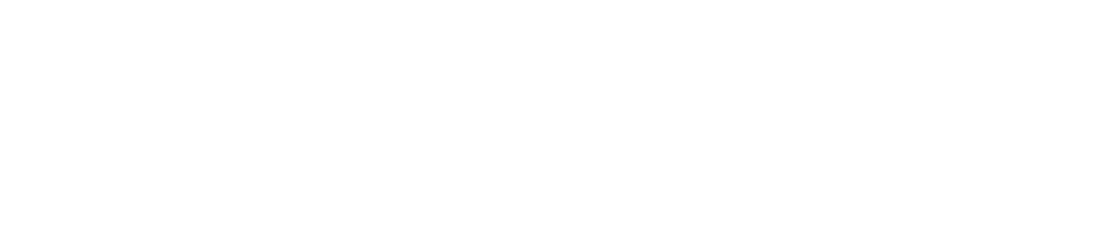 sheleads+ logo